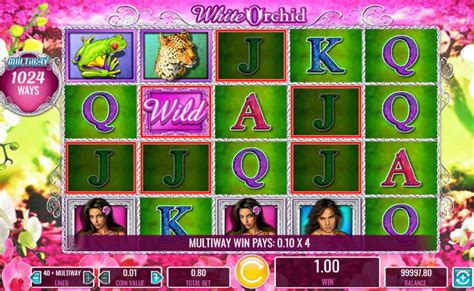 white orchid casino game|rome casino online.